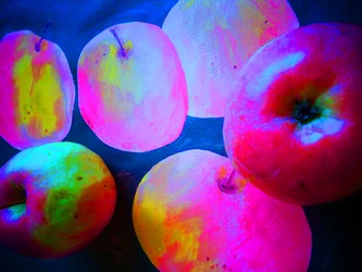 Apples4