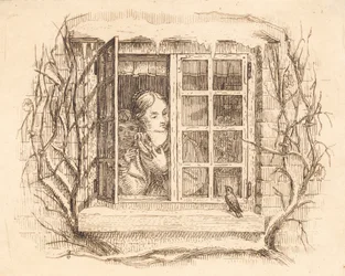 Illustration for 