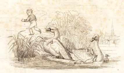 Illustration for 