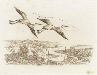 Illustration for 