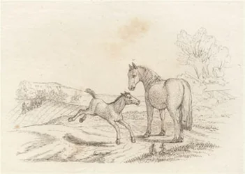 Illustration for 