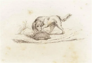 Illustration for 