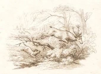 Illustration for 