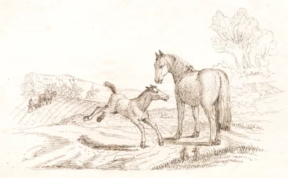 Illustration for 