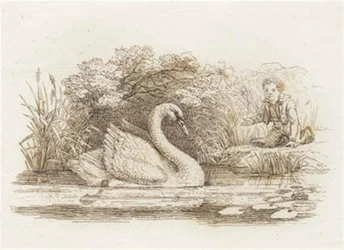 Illustration for 