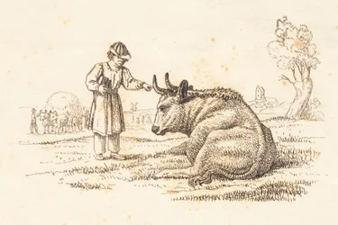 Illustration for "Fifty Fables for Children" by Hey