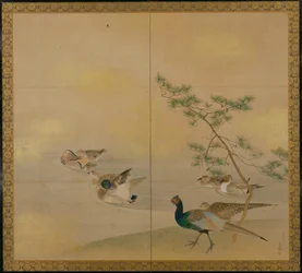 Waterfowl