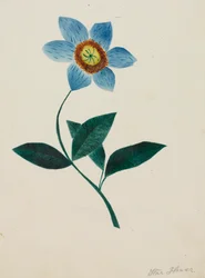 Star Flower