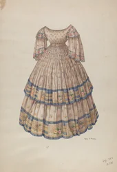 Dress with Hoop Skirt