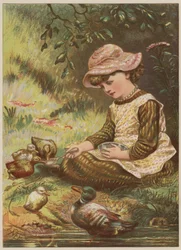 Girl feeding ducklings
