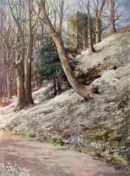 Scottish Gardens: Ardgowan