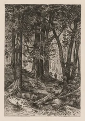 Interior of a California Forest after Thomas Moran