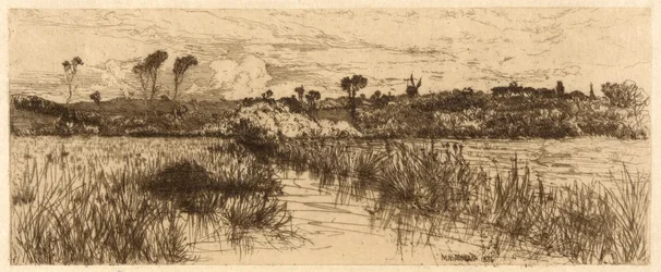The Haunt of the Muskrat
