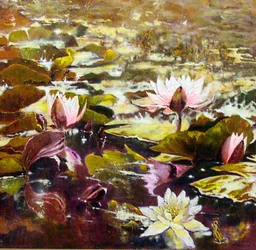 Lilies in Melbourne Gardens
