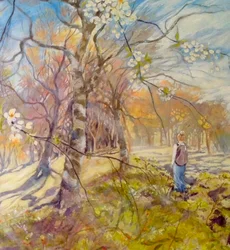 Spring Walk Under the Blossoms