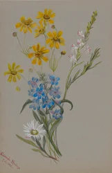(Untitled, Group of Flowers)