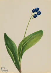 Blue Bead