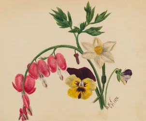Untitled--Mixed Flowers