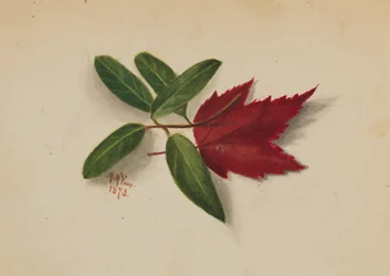 Untitled, 1873