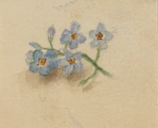 Untitled, 1874