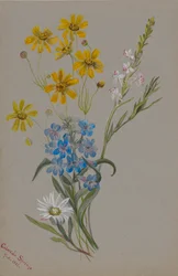 Untitled, Group of Flowers, 1883