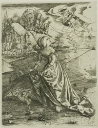 The Woman with an Owl