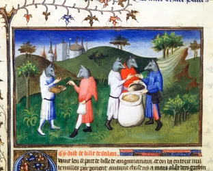 Dog-headed Men