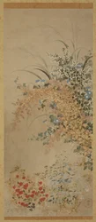 Flowers and Grasses