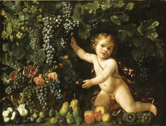 Grapes on the vine, pomegranates, grapes, and rosehips in a basket, with figs, apples, pears and chestnuts by a putto