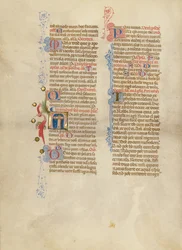Initial N: The Cross