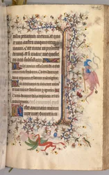 Hours of Charles the Noble, King of Navarre 1361-1425: fol. 217r, Text
