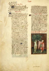 Apollo and Daphne, from the 