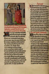 Jalousie (Jealousy) Speaking to Bel Accueil (Fair Welcome)