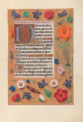 Hours of Queen Isabella the Catholic, Queen of Spain: Fol.44r
