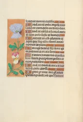 Hours of Queen Isabella the Catholic, Queen of Spain: Folio 120v
