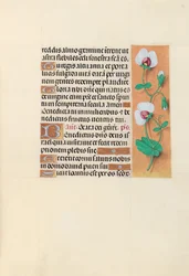 Hours of Queen Isabella the Catholic, Queen of Spain: Fol. 123r
