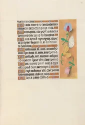 Hours of Queen Isabella the Catholic, Queen of Spain: Fol. 156r