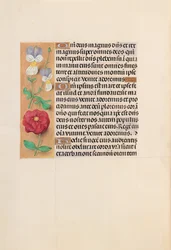 Hours of Queen Isabella the Catholic, Queen of Spain: Fol. 226v