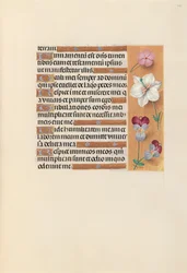 Hours of Queen Isabella the Catholic, Queen of Spain: Fol. 235r