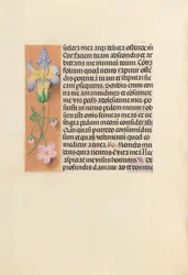 Hours of Queen Isabella the Catholic, Queen of Spain: Fol. 237v, c. 1500