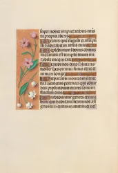 Hours of Queen Isabella the Catholic, Queen of Spain: Fol. 248v, c. 1500
