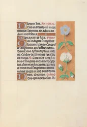Hours of Queen Isabella the Catholic, Queen of Spain: Fol. 47r