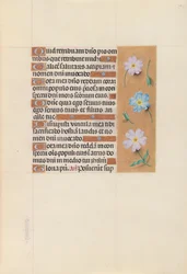 Hours of Queen Isabella the Catholic, Queen of Spain: Fol. 67r, c. 1500