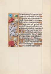 Hours of Queen Isabella the Catholic, Queen of Spain: Fol. 78v