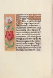 Hours of Queen Isabella the Catholic, Queen of Spain: Fol. 89v, c. 1500