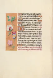 Hours of Queen Isabella the Catholic, Queen of Spain: Fol. 92v