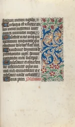 Book of Hours Use of Rouen: fol. 81r, c. 1470
