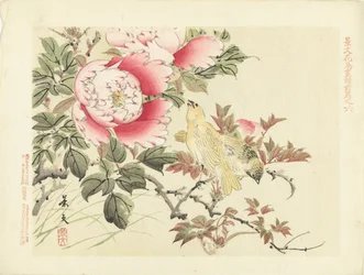 Birds and Peonies (Flower and Bird Sketches by Keibun - Part One Series) (Keibun kacho gafu zenpen)
