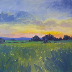Vibrant Field Sunset