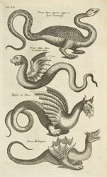Plate XII, Mythical Creatures, Dragons, Illustration from 